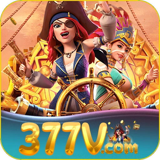 377v Logo